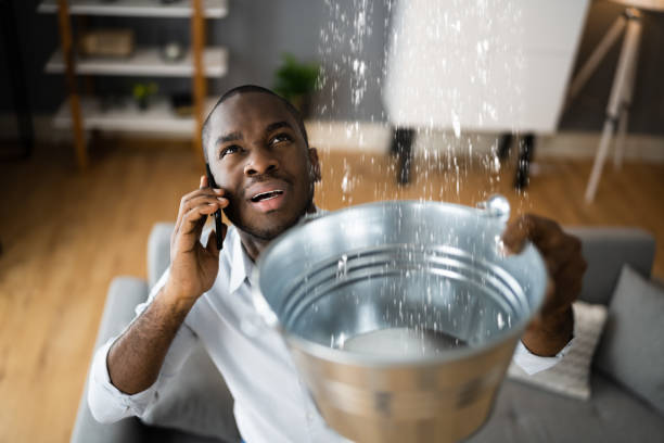 Best Flood restoration services  in North Kensington, MD