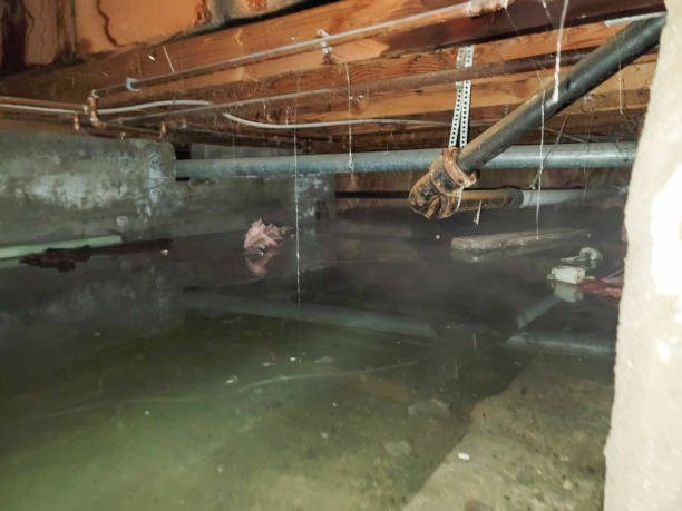 Water damage restoration process in MD