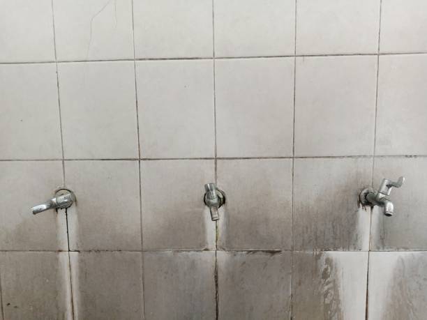 Best Sewage cleanup and water damage restoration  in North Kensington, MD
