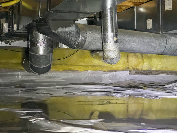 Best Water damage restoration near me  in North Kensington, MD