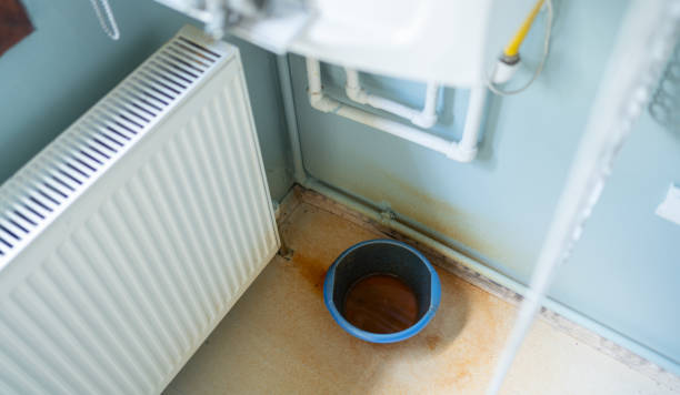Best Mold removal after water damage  in North Kensington, MD
